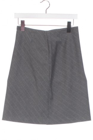 Fustă Unbranded, Mărime XS, Culoare Multicolor, Preț 50,00 Lei