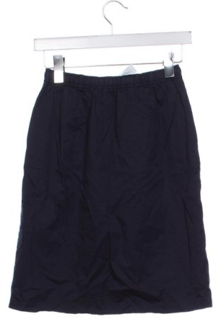 Fustă Van Laack, Mărime XS, Culoare Albastru, Preț 216,00 Lei