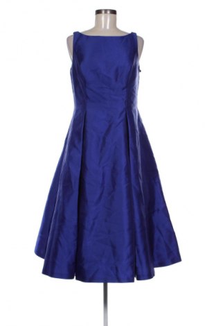 Kleid Adrianna Papell, Größe L, Farbe Blau, Preis € 152,99