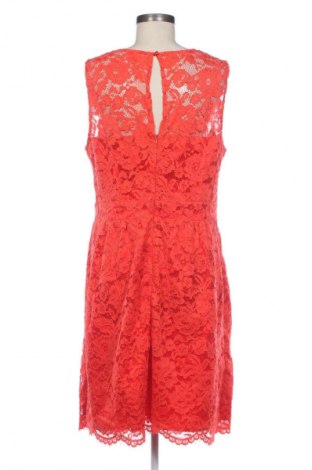 Kleid Apart, Größe XL, Farbe Rot, Preis 32,99 €