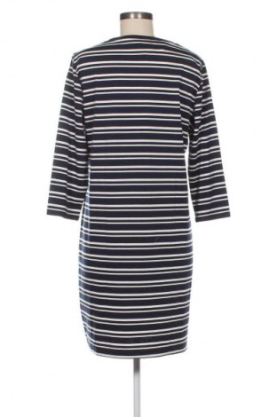 Sukienka Blue Motion, Rozmiar XL, Kolor Kolorowy, Cena 105,75 zł