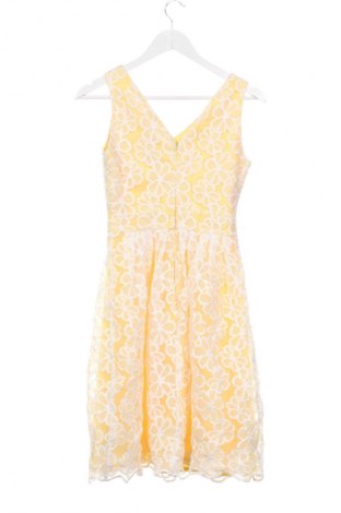 Kleid Dorothy Perkins, Größe XS, Farbe Mehrfarbig, Preis € 13,80