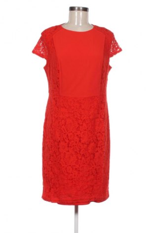 Šaty  Dorothy Perkins, Veľkosť L, Farba Červená, Cena  31,68 €