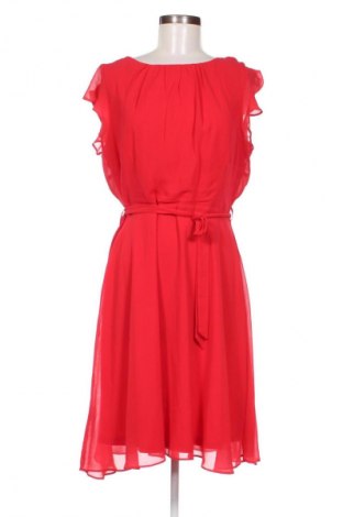 Kleid Dorothy Perkins, Größe L, Farbe Rot, Preis 37,51 €