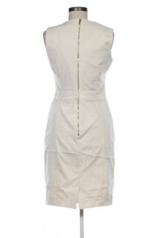 Sukienka Elisabetta Franchi, Rozmiar L, Kolor ecru, Cena 426,92 zł
