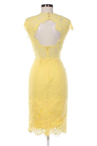 Kleid Ivy & Oak, Größe XXS, Farbe Gelb, Preis € 142,18