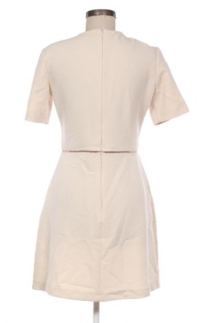 Kleid Mango, Größe M, Farbe Beige, Preis 28,18 €