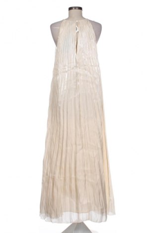 Kleid Massimo Dutti, Größe XL, Farbe Ecru, Preis € 139,99