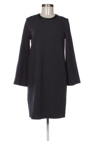 Kleid Massimo Dutti, Größe S, Farbe Blau, Preis € 132,99