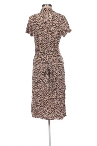 Kleid Next, Größe M, Farbe Mehrfarbig, Preis € 36,99