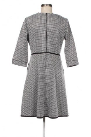 Kleid Orsay, Größe L, Farbe Mehrfarbig, Preis € 20,99