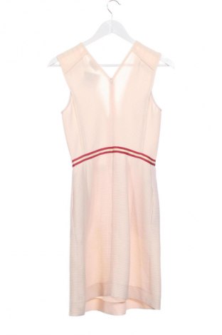 Kleid Pablo, Größe S, Farbe Rosa, Preis 66,00 €
