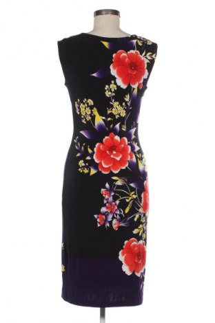 Kleid Phase Eight, Größe S, Farbe Mehrfarbig, Preis € 42,05