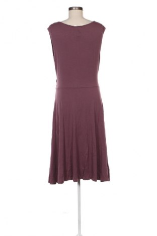 Φόρεμα Taifun, Μέγεθος M, Χρώμα Βιολετί, Τιμή 42,00 €