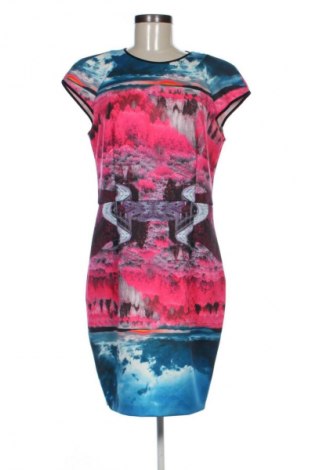 Φόρεμα Ted Baker, Μέγεθος XL, Χρώμα Πολύχρωμο, Τιμή 90,97 €