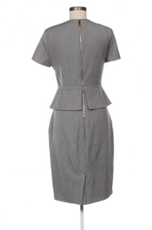 Kleid Ted Baker, Größe M, Farbe Mehrfarbig, Preis € 59,00