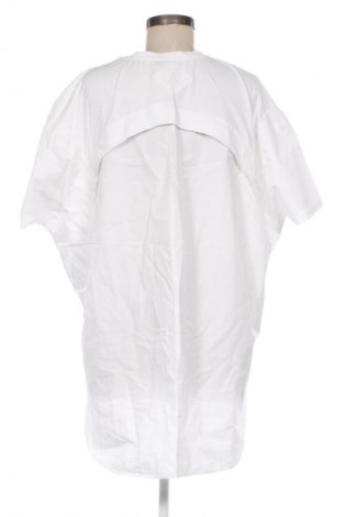 Kleid Zara, Größe M, Farbe Weiß, Preis 13,81 €