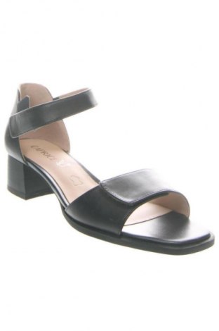 Sandalen Caprice, Größe 39, Farbe Schwarz, Preis € 69,99