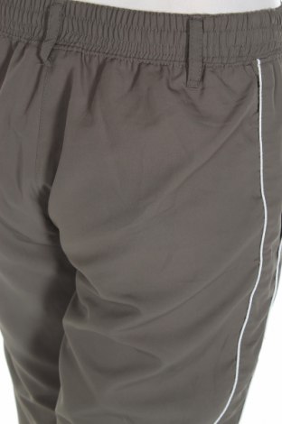Дамски спортен панталон Crane, Размер S, Цвят Зелен, Цена 6,00 лв.