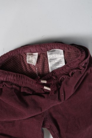 Pantaloni de catifea reiată, pentru copii H&M, Mărime 6-9m/ 68-74 cm, Culoare Mov, Preț 10,77 Lei
