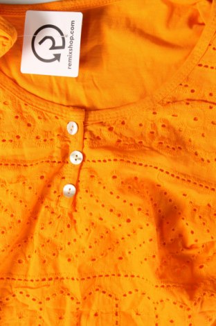 Damen Shirt, Größe M, Farbe Orange, Preis € 3,99