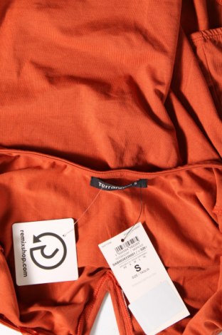 Damenbluse-Body Terranova, Größe S, Farbe Orange, Preis € 9,99