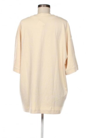 Damen Shirt About you x Kevin Trapp, Größe XXL, Farbe Beige, Preis € 26,99