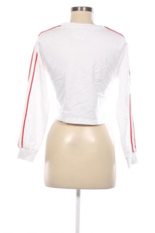 Damen Shirt Alcott, Größe M, Farbe Weiß, Preis € 3,99