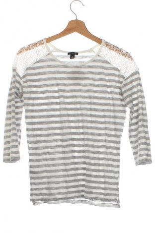 Damen Shirt Ann Taylor, Größe XS, Farbe Mehrfarbig, Preis € 15,99