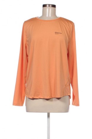 Damen Shirt Catamaran, Größe XL, Farbe Orange, Preis € 7,49