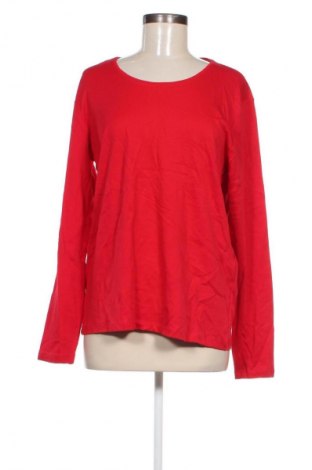 Damen Shirt Cecil, Größe L, Farbe Rot, Preis 3,99 €