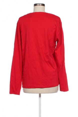 Damen Shirt Cecil, Größe L, Farbe Rot, Preis 3,99 €