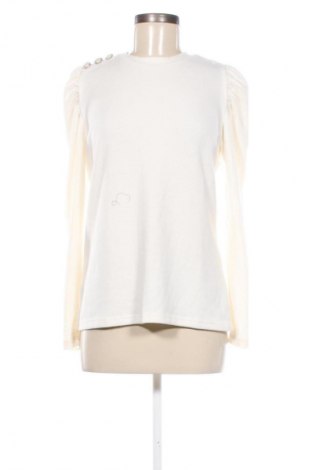 Damen Shirt Dorothy Perkins, Größe L, Farbe Weiß, Preis € 31,99