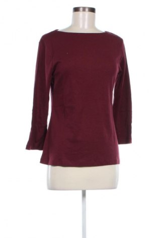 Damen Shirt Dorothy Perkins, Größe XL, Farbe Rot, Preis 12,99 €