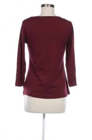 Damen Shirt Dorothy Perkins, Größe XL, Farbe Rot, Preis 12,99 €