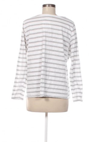 Damen Shirt Gina Benotti, Größe L, Farbe Mehrfarbig, Preis 4,99 €