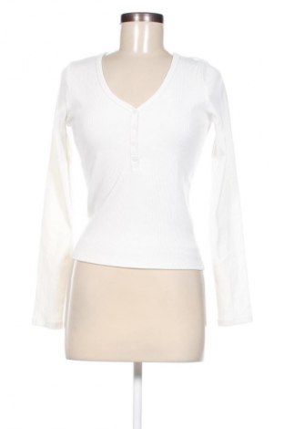 Damen Shirt Hollister, Größe M, Farbe Weiß, Preis 20,49 €