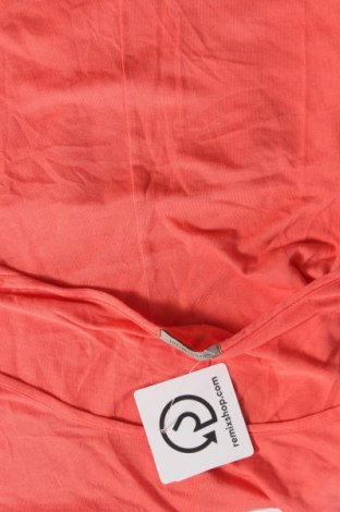 Damen Shirt Intimissimi, Größe S, Farbe Rosa, Preis € 5,99