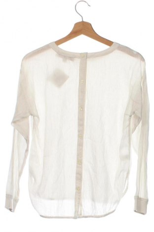 Damen Shirt Loft, Größe XS, Farbe Beige, Preis € 15,99