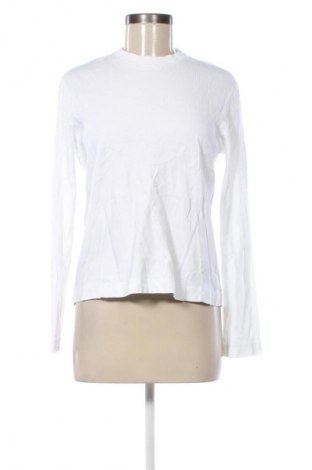 Damen Shirt Massimo Dutti, Größe XS, Farbe Weiß, Preis € 30,99