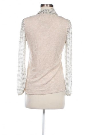 Damen Shirt Max, Größe S, Farbe Mehrfarbig, Preis € 3,99