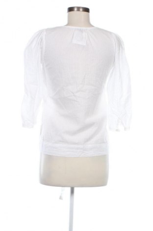 Damen Shirt Oviesse, Größe XL, Farbe Weiß, Preis € 13,49