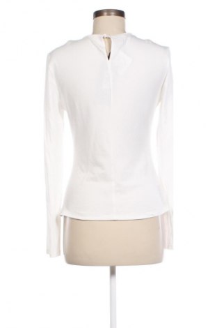 Damen Shirt Pinko, Größe L, Farbe Weiß, Preis € 47,99