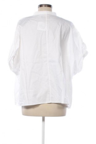 Damen Shirt Piombo, Größe L, Farbe Weiß, Preis € 25,49