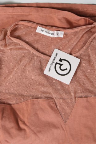 Damen Shirt Terranova, Größe S, Farbe Rosa, Preis € 2,99