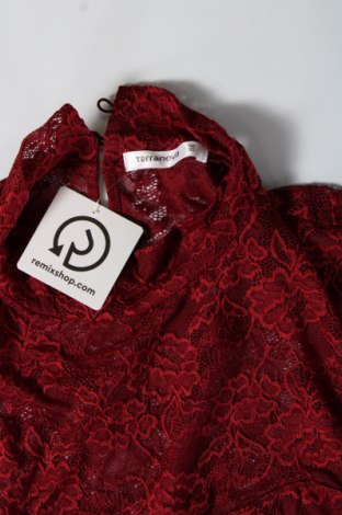 Damen Shirt Terranova, Größe XL, Farbe Rot, Preis 3,99 €