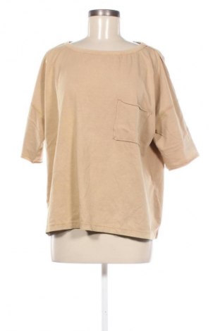 Damen Shirt Warehouse, Größe S, Farbe Beige, Preis € 8,49