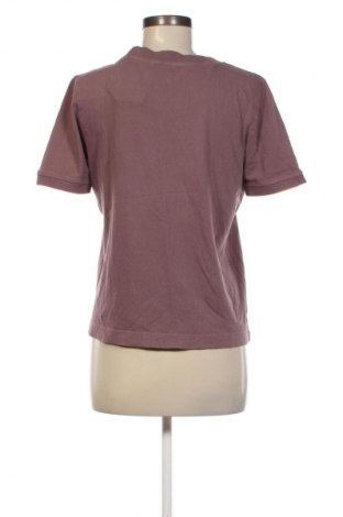 Damen Shirt Zara, Größe L, Farbe Aschrosa, Preis 15,99 €