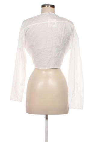 Damen Shirt Zara, Größe S, Farbe Weiß, Preis 6,99 €