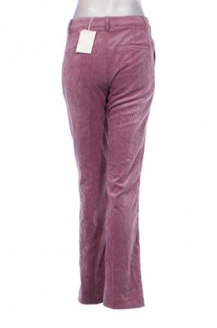 Damen Cordhose Mkt Studio, Größe S, Farbe Lila, Preis 108,79 €